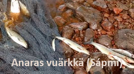 Anarâš vuárkká