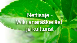 Nettisaje