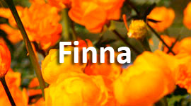 Ođđ ǩeeʹrj Finnast